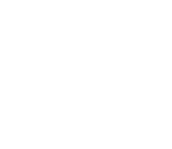 catheter