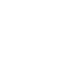 tick
